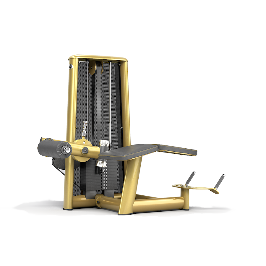 gym80 3002 lying leg curl NC us overviewpNB