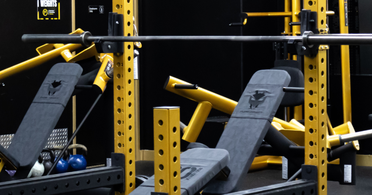 Gym 80 strength training equipment with ergonomic biomechanics for joint protection, durability, and enhanced power performance