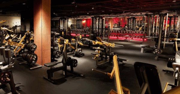 High-performance commercial gym featuring Gym80’s German-engineered strength machines with welded construction, plate-loaded equipment, and premium training stations designed for experienced lifters.