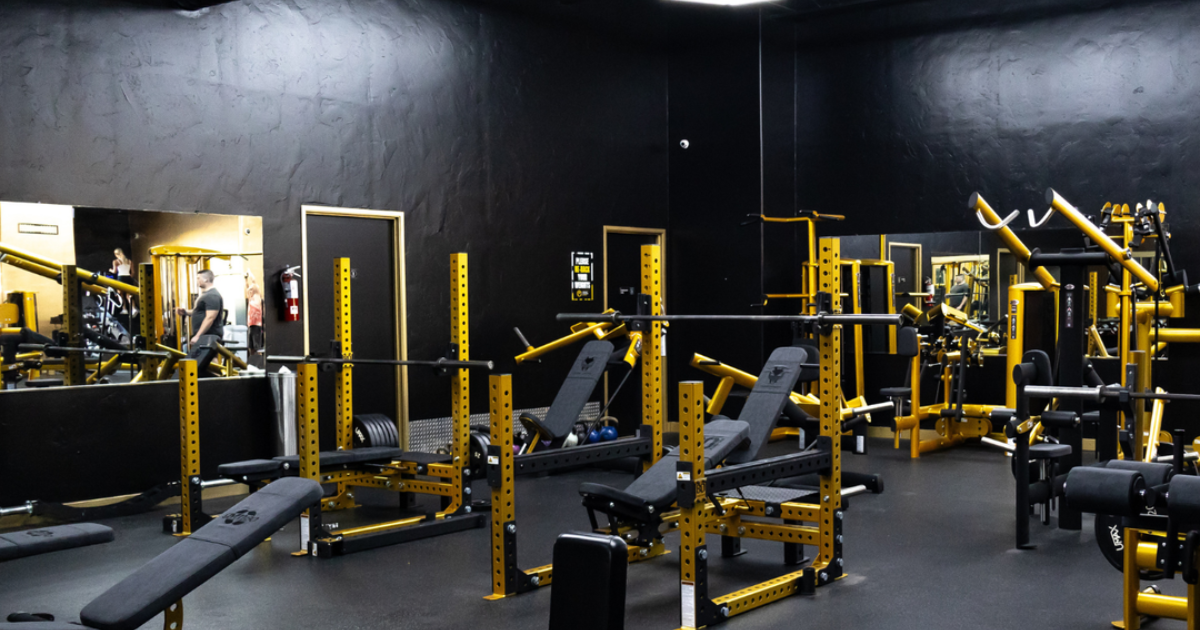 premium commercial gym floor featuring gym80 strength equipment designed for biomechanics with welded frames and high performance training layout