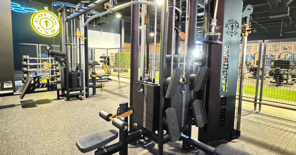 Durable gym80 strength equipment in a high-traffic Gold’s Gym training facility