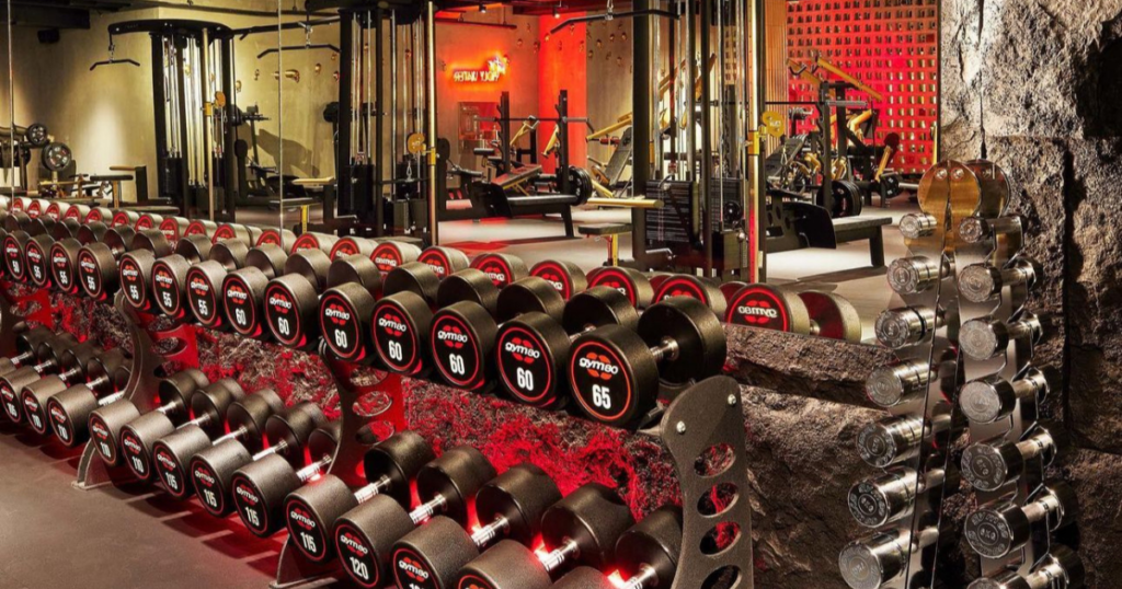 gym80 dumbbells and premium strength training equipment in a modern commercial gym