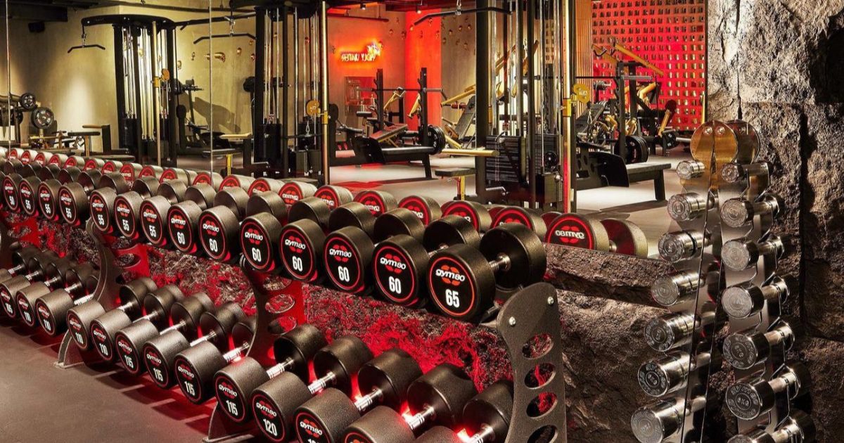 gym80 dumbbells and premium strength training equipment in a modern commercial gym