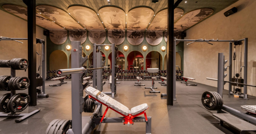 Luxury commercial gym with gym80 strength equipment for athletic performance and functional training