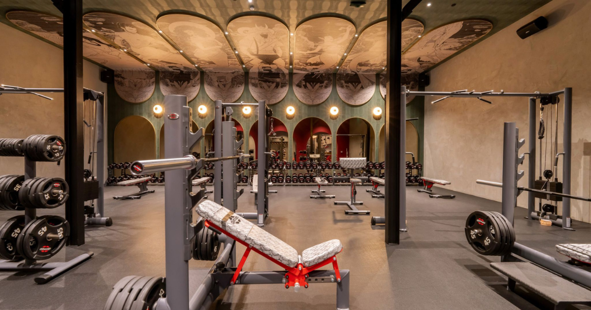 Luxury commercial gym with gym80 strength equipment for athletic performance and functional training